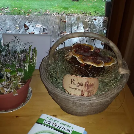 בית חווה Bioagriturismo Vegan Campo Di Cielo Cesiomaggiore