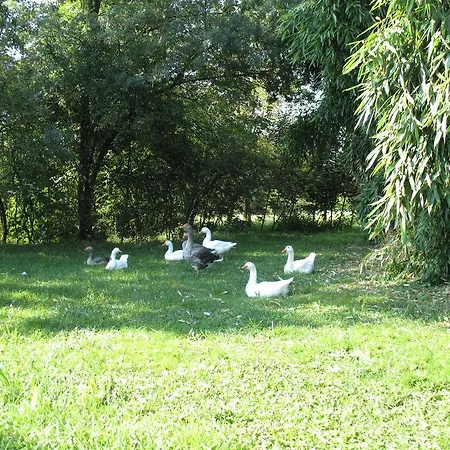 בית חווה Bioagriturismo Vegan Campo Di Cielo Cesiomaggiore