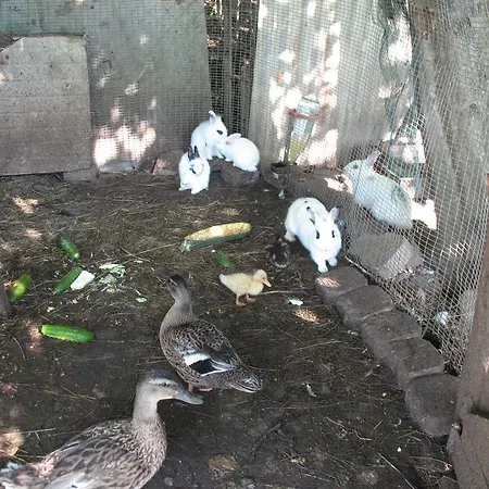 בית חווה Bioagriturismo Vegan Campo Di Cielo *