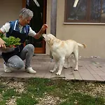 Bioagriturismo Vegan Campo Di Cielo Cesiomaggiore