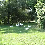 Bioagriturismo Vegan Campo Di Cielo *