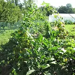 Bioagriturismo Vegan Campo Di Cielo