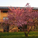 Bioagriturismo Vegan Campo Di Cielo