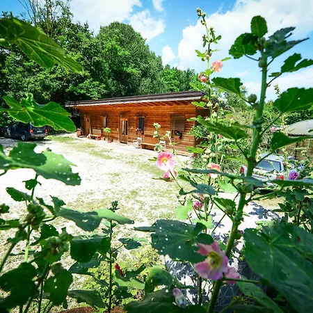 Bioagriturismo Vegan Campo Di Cielo Farmház Cesiomaggiore