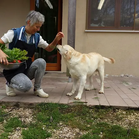 Bioagriturismo Vegan Campo Di Cielo Cesiomaggiore