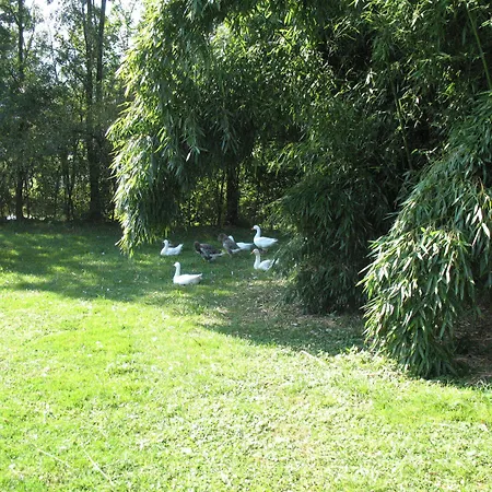 Farma Bioagriturismo Vegan Campo Di Cielo Cesiomaggiore