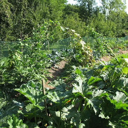 Bioagriturismo Vegan Campo Di Cielo *