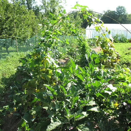 Bioagriturismo Vegan Campo Di Cielo