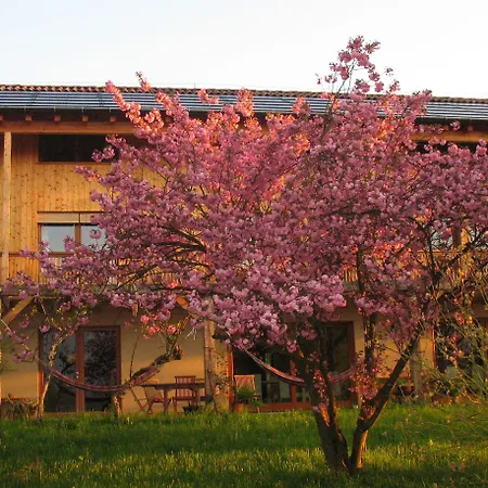 Bioagriturismo Vegan Campo Di Cielo