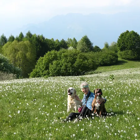Farma Bioagriturismo Vegan Campo Di Cielo