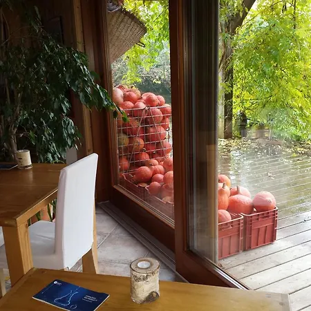 Farm stay Bioagriturismo Vegan Campo Di Cielo Cesiomaggiore