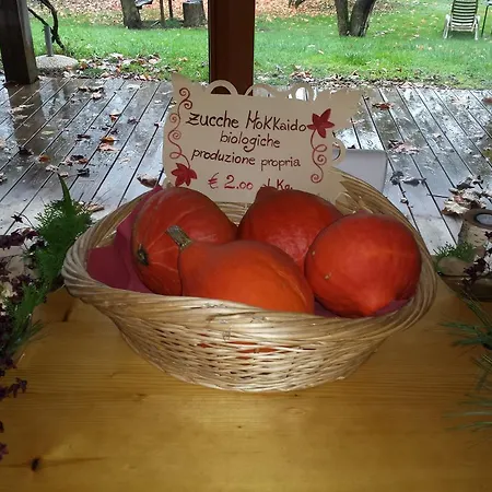 Farm stay Bioagriturismo Vegan Campo Di Cielo *