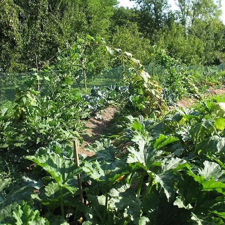 Farm stay Bioagriturismo Vegan Campo Di Cielo