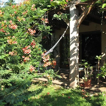 Bioagriturismo Vegan Campo Di Cielo Cesiomaggiore